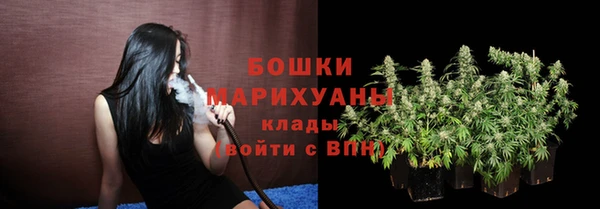 СК Богородицк
