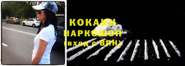 бошки Богданович
