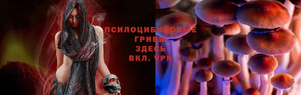 СК Богородицк