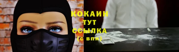 СК Богородицк