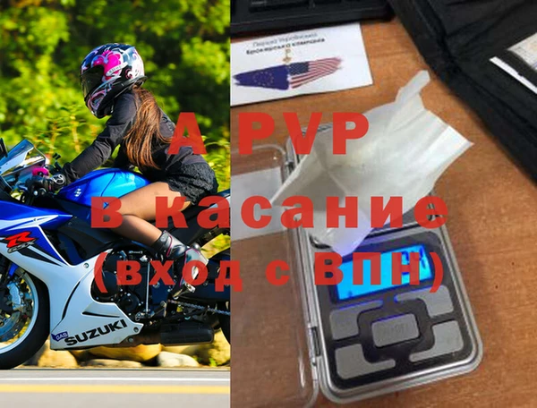 СК Богородск