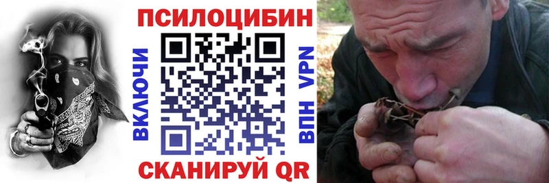 дарнет шоп Кириллов ссылка на мегу зеркало Галлюциногенные грибы мухоморы
